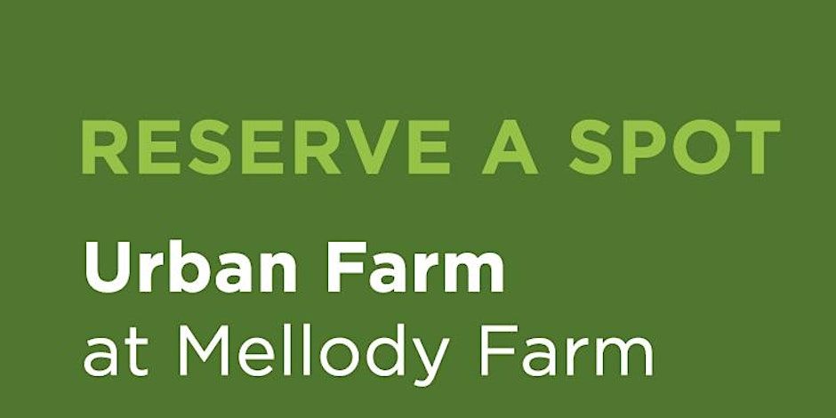 Mellody Farm Urban Farm Tour & Tasting