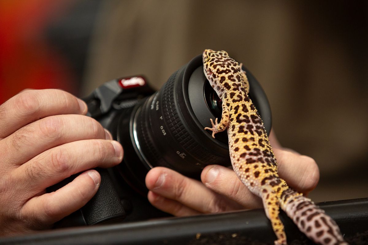 Photographing Little Creatures at White Post Farm