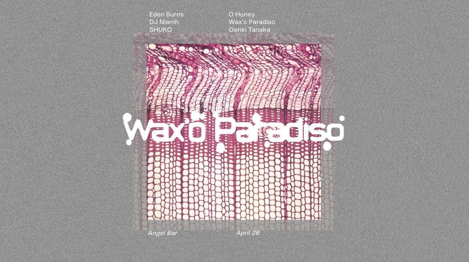 Wax'o Paradiso at Angel Bar 26.04.2024