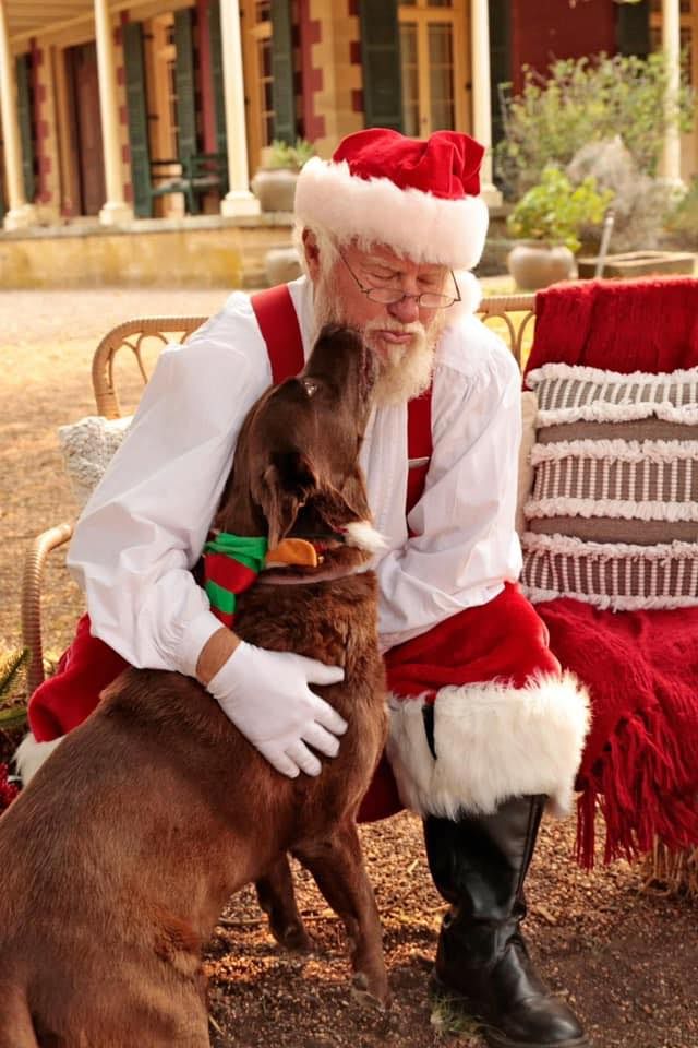 Christmas Mini's at Tocal Homestead