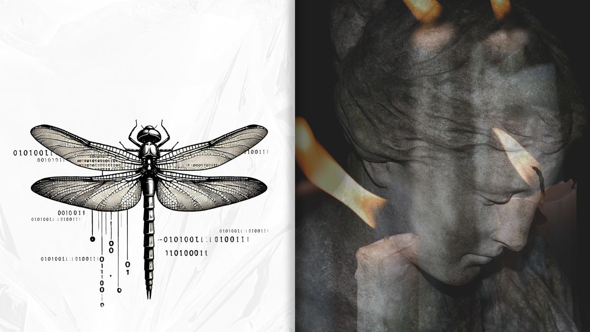 THE DRAGONFLY + HARLOTS | NWF Readings #6