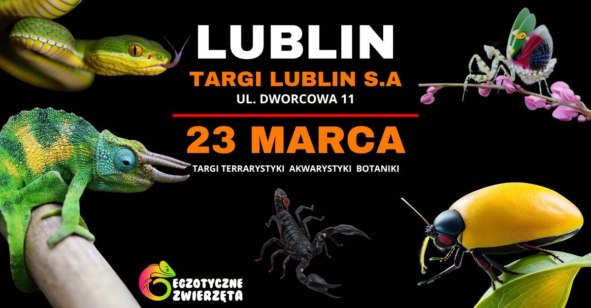 LUBLIN 23 MARCA - EGZOTYCZNE ZWIERZ\u0118TA - TERRARYSTYKA AKWARYSTYKA BOTANIKA