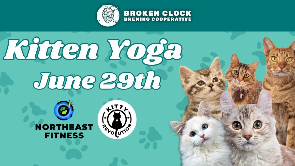 Kitten Yoga \ud83d\udc3e