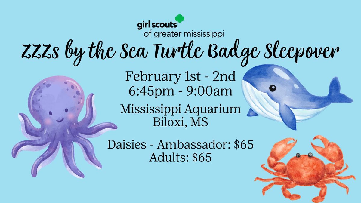 ZZZs by the Sea Turtle Badge Sleepover