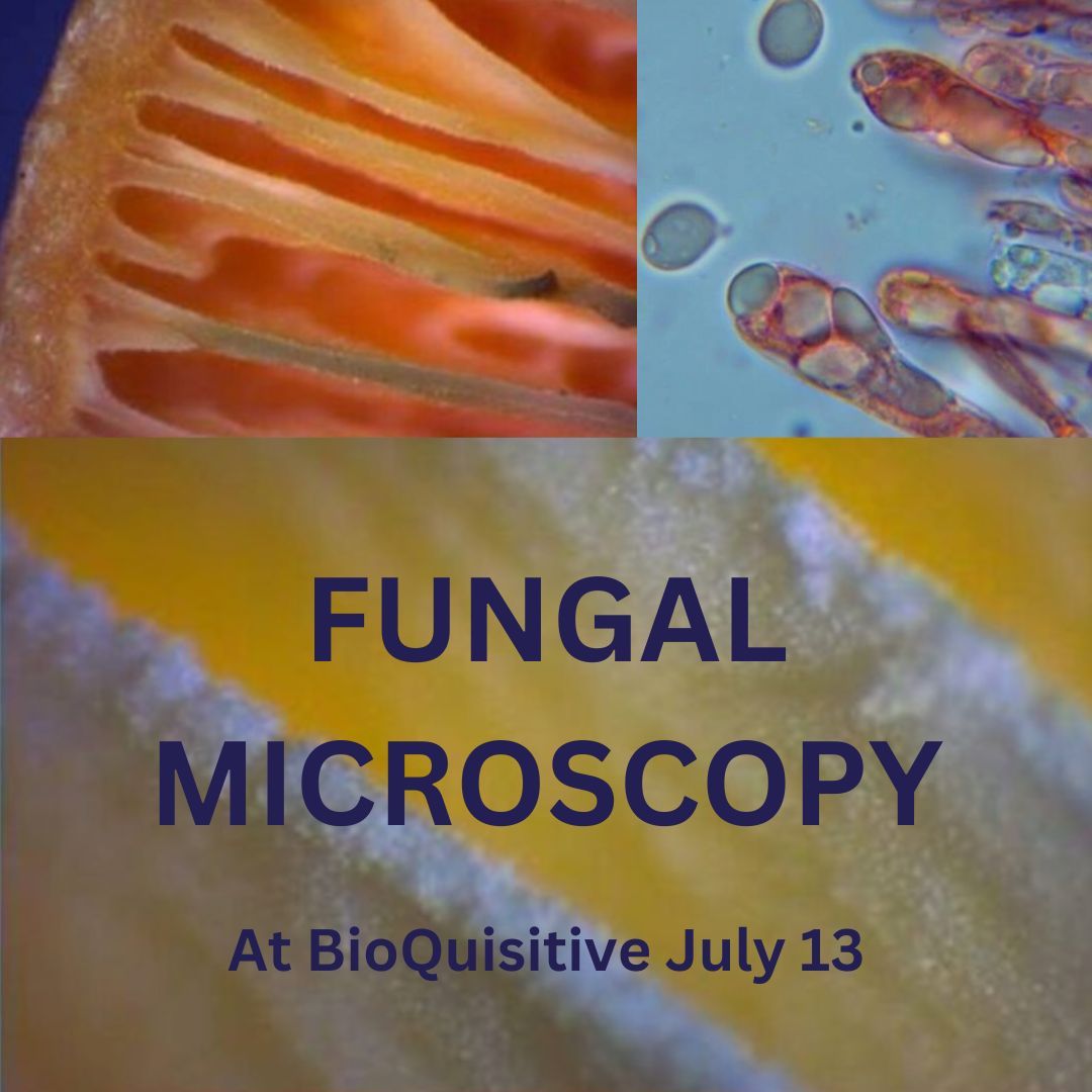 Mushroom Microscopy Workshop