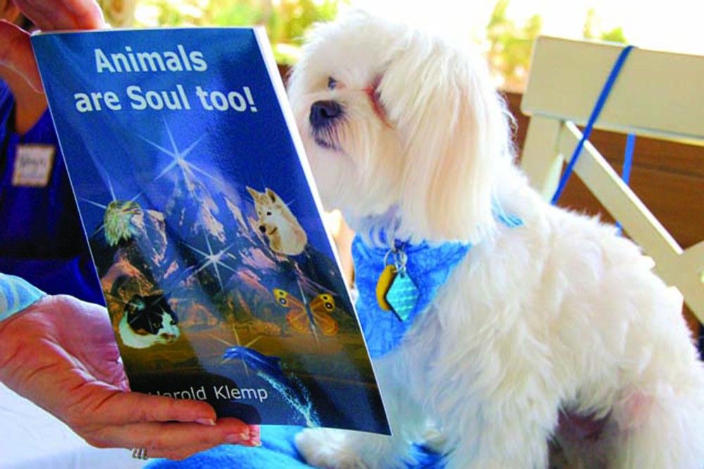 Spiritual Discussion on \u201cAnimals Are Souls Too!\u201d