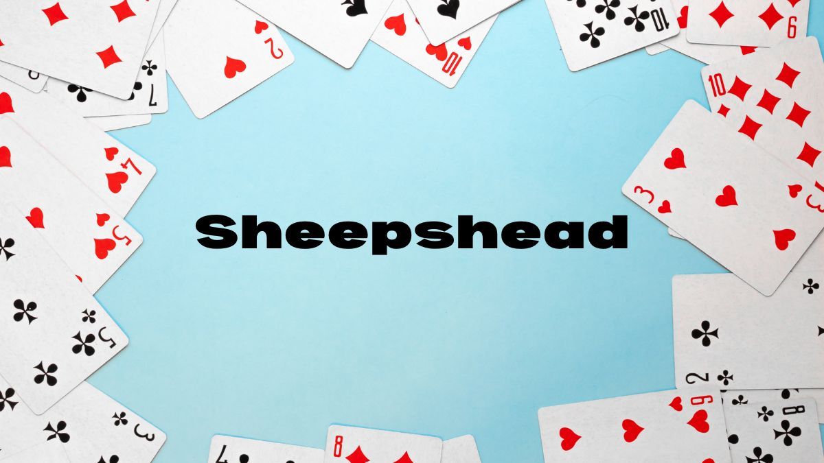 Sheepshead at the Library