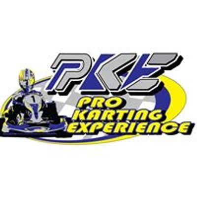 Pro Karting Experience