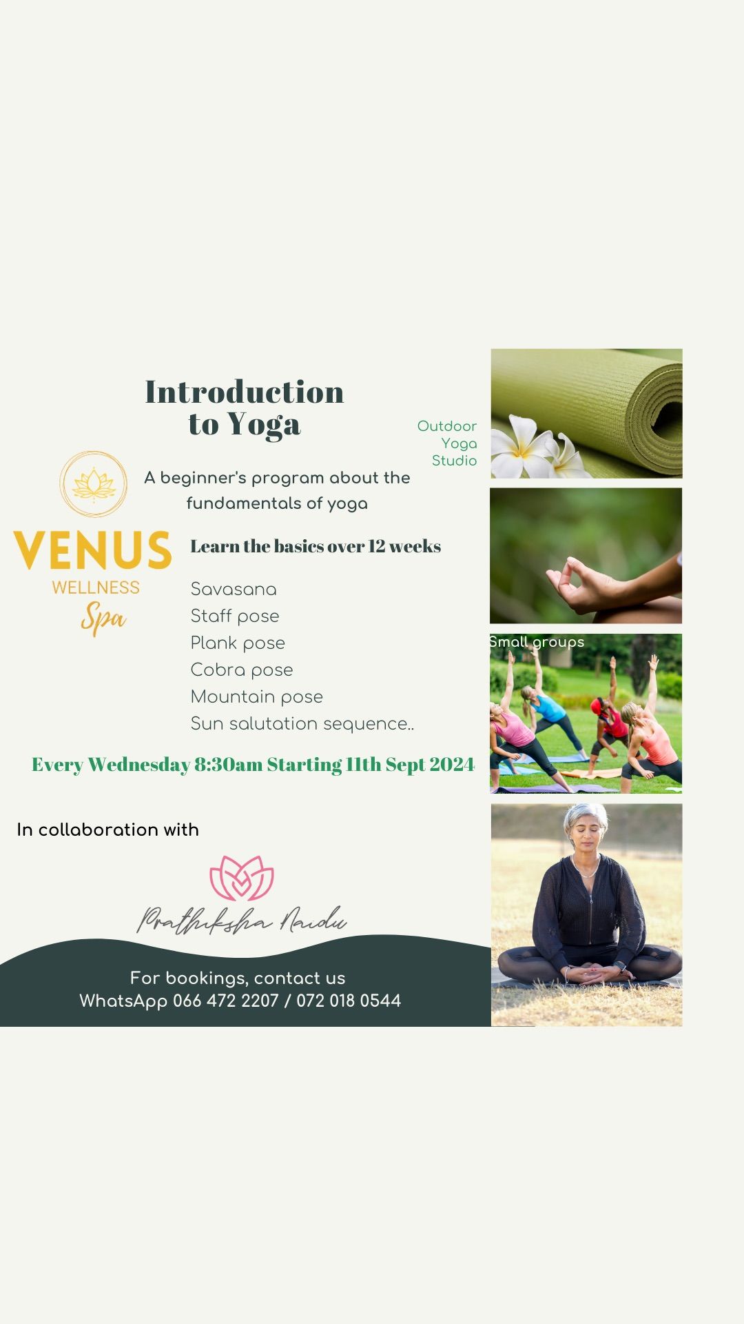 Beginner Yoga classes \ud83e\uddd8\u200d\u2640\ufe0f\ud83e\uddd8\u200d\u2642\ufe0f@ Venus Wellness Spa 