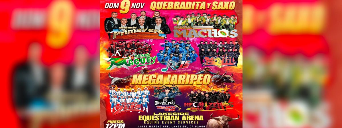 PRIMAVERA, BANDA MACHOS, BANDA MAGUEY & MAS  in Lakeside