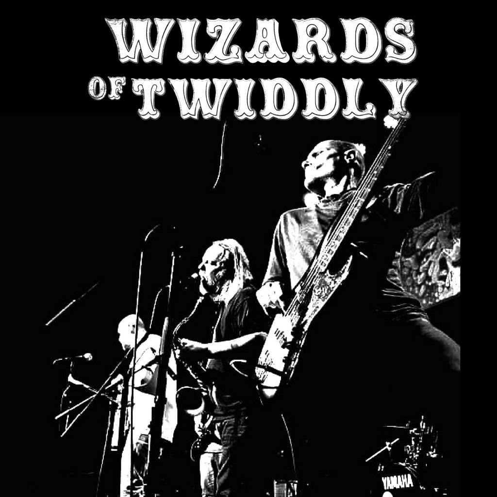 Wizards of Twiddly Live at Archive Liverpool
