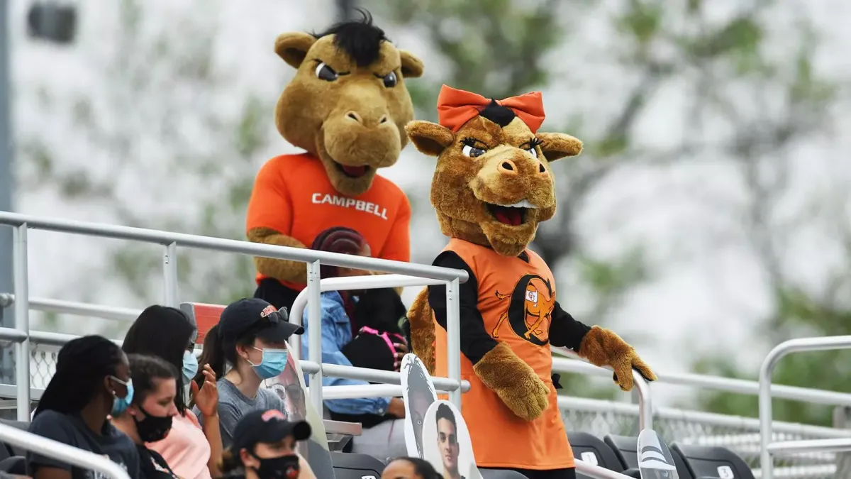 Campbell Fighting Camels at NC State Wolfpack Baseball