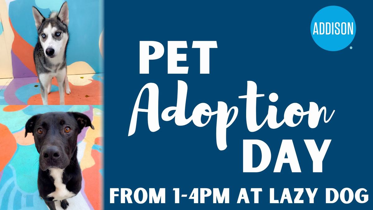 Pet Adoption Day at Lazy Dog