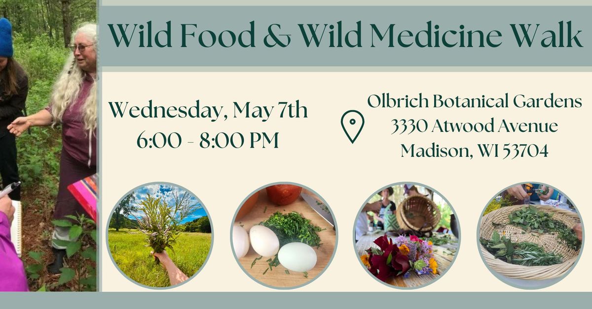 Wild Food and Wild Medicine Walk