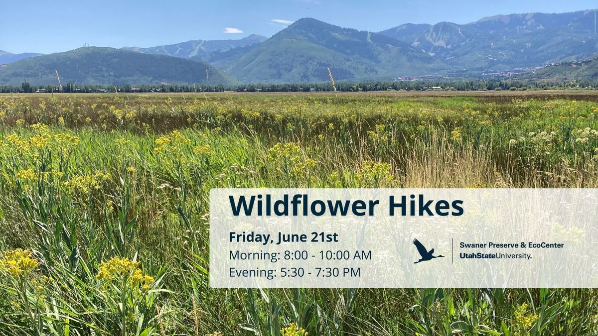 Wildflower Hike