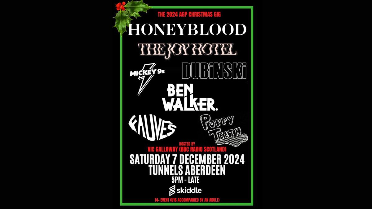 AGP Christmas Gig 2024 w\/ Honeyblood & more | Tunnels Aberdeen