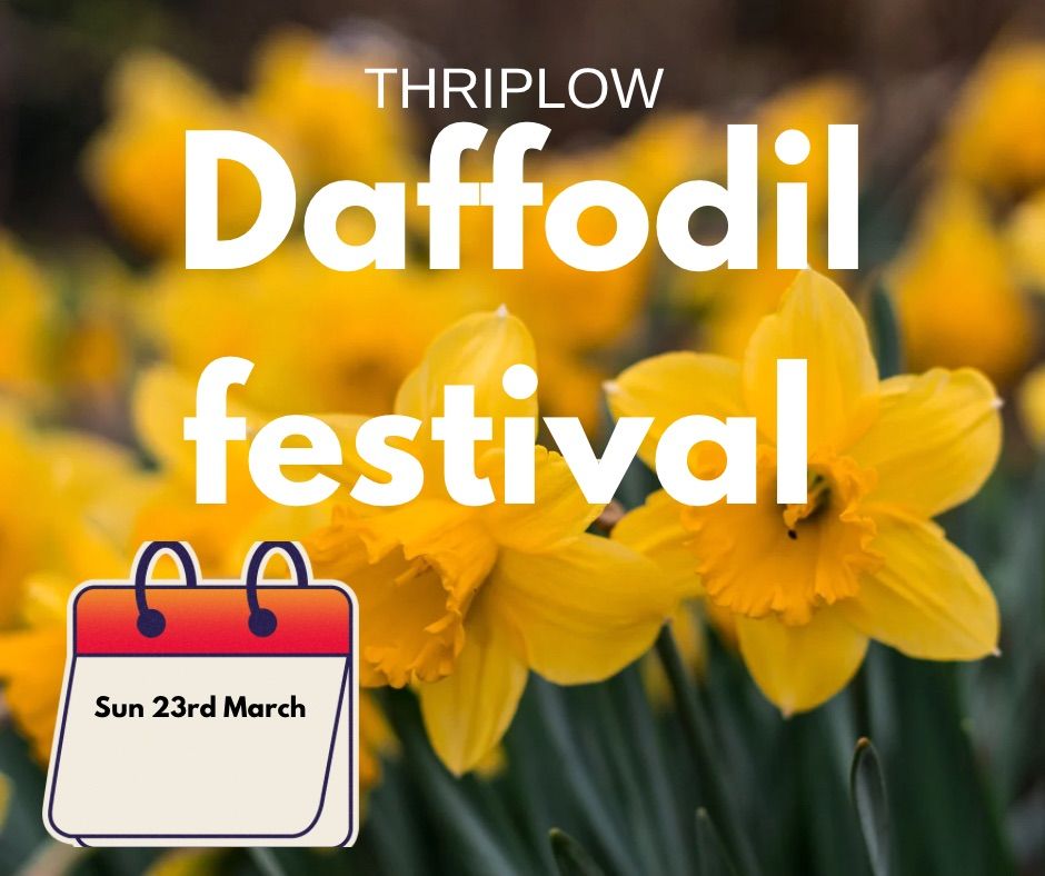 Thriplow Daffodil Festival coach trip 