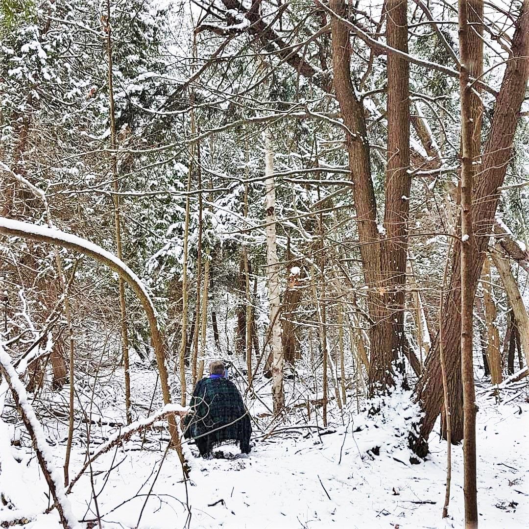 Early Winter Solstice Forest Therapy Walk 