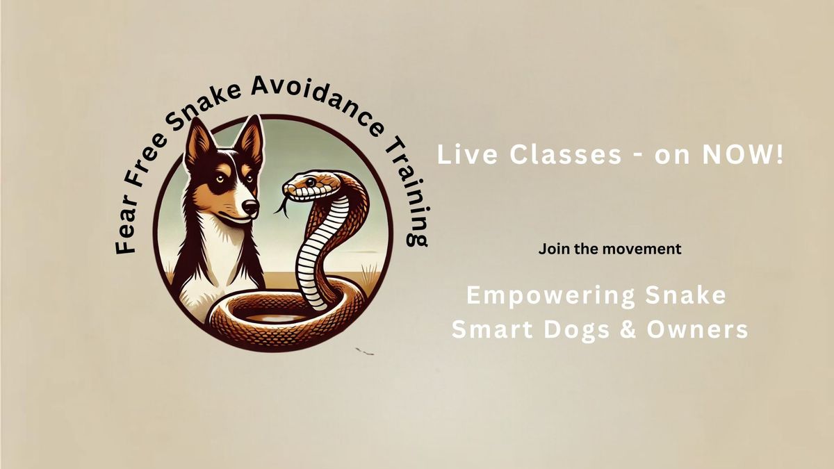 Canine Snake Avoidance Training 