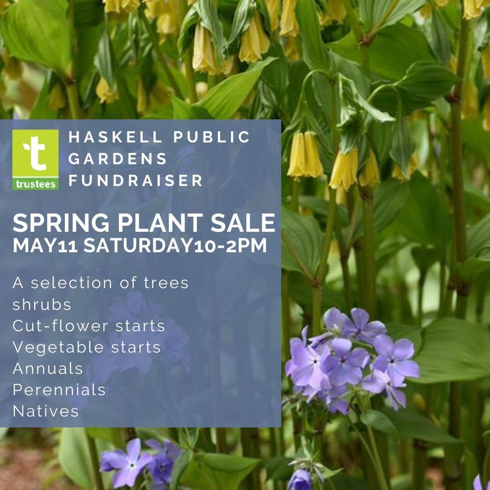 Haskell Gardens Spring Plant Sale Fundraiser