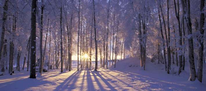 Winter Solstice Candlelight Yoga