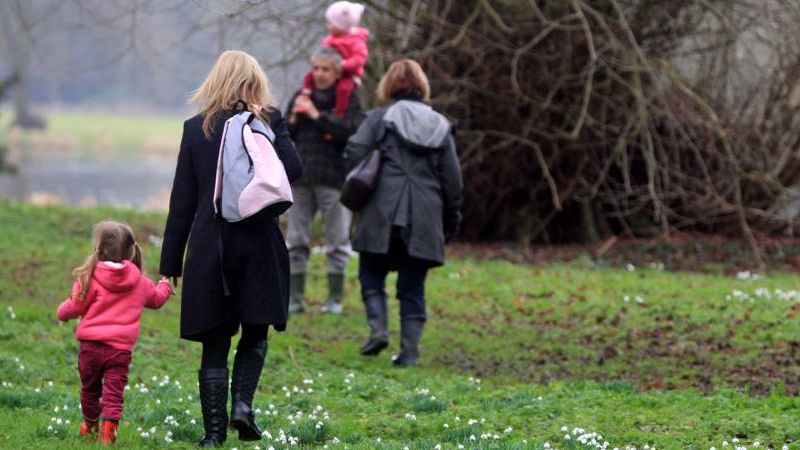 Buckinghamshire Snowdrop Walk