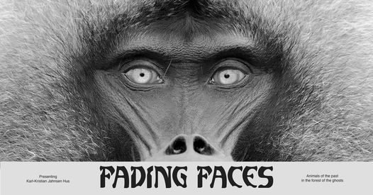 UTSTILLING: Fading Faces av Karl-Kristian Jahnsen Hus