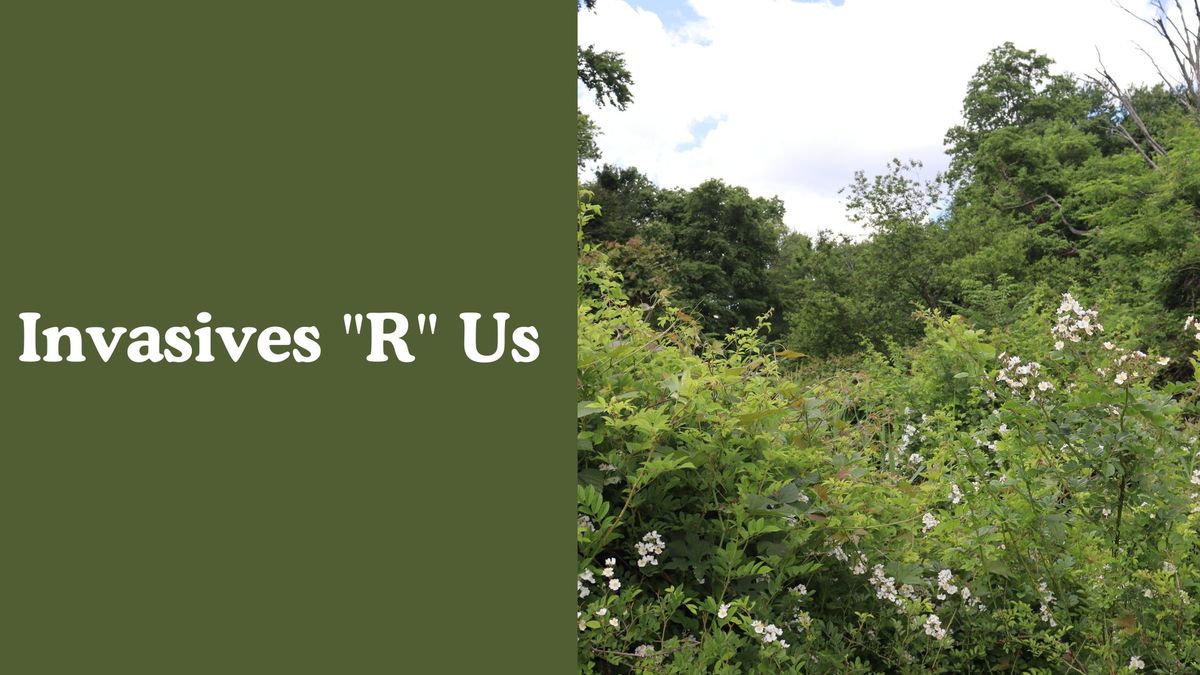 Volunteer Event: Invasives "R" Us