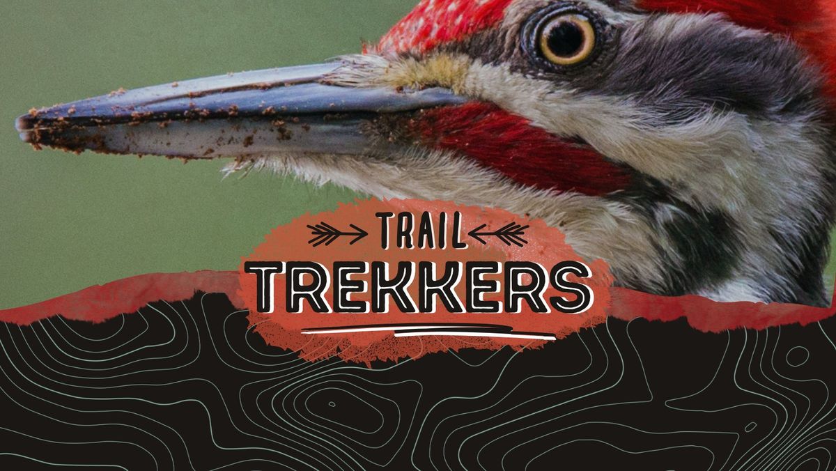 Trail Trekkers: Woodpecker Walk