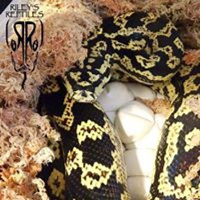 Central Valley Herpetological Society (CVHS)