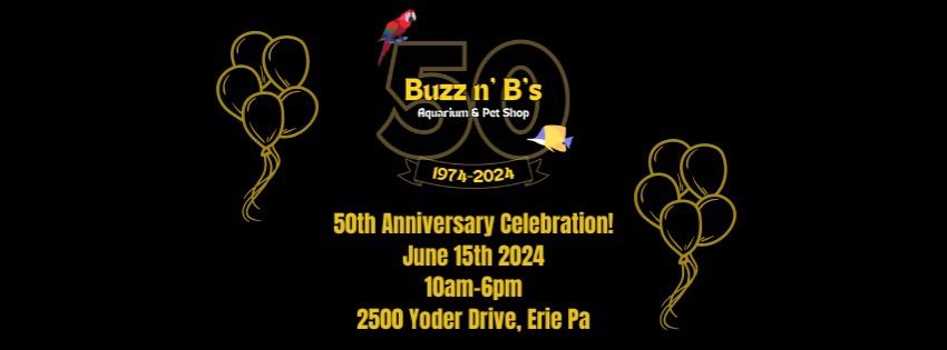 Buzz n\u2019 B\u2019s 50th Anniversary Celebration! 