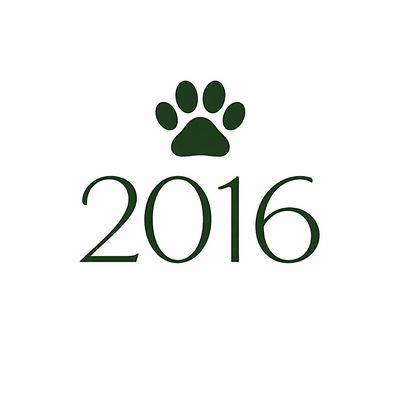 GHS Class of 2016 Reunion Committee