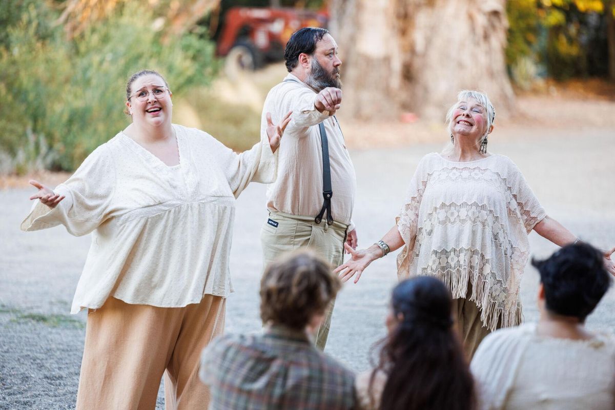 Shakespeare Summer Stroll: Twelfth Night