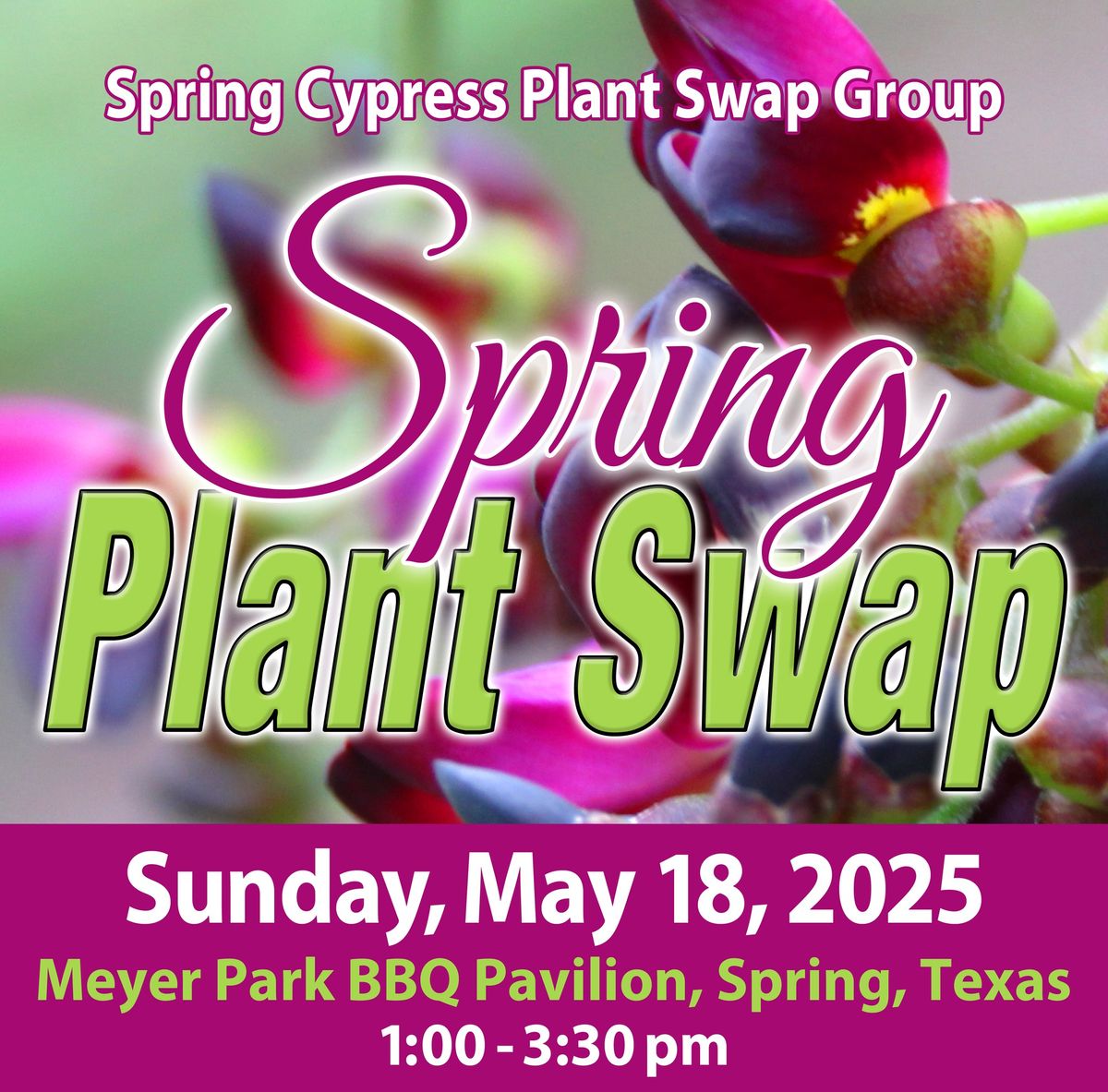 Spring 2025 Plant Swap - Spring Cypress Plant Swap Group