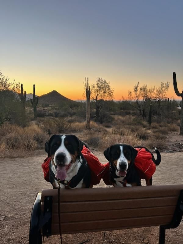 Sonoran Desert Pack Hikes