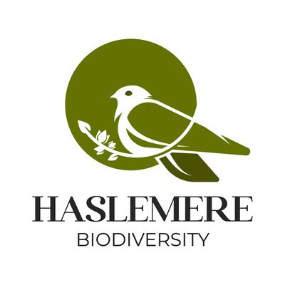 Haslemere Biodiversity