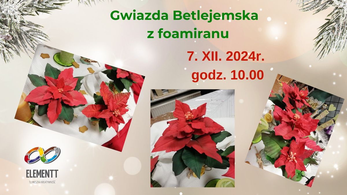 Gwiazda betlejemska- kwiat z foamiranu