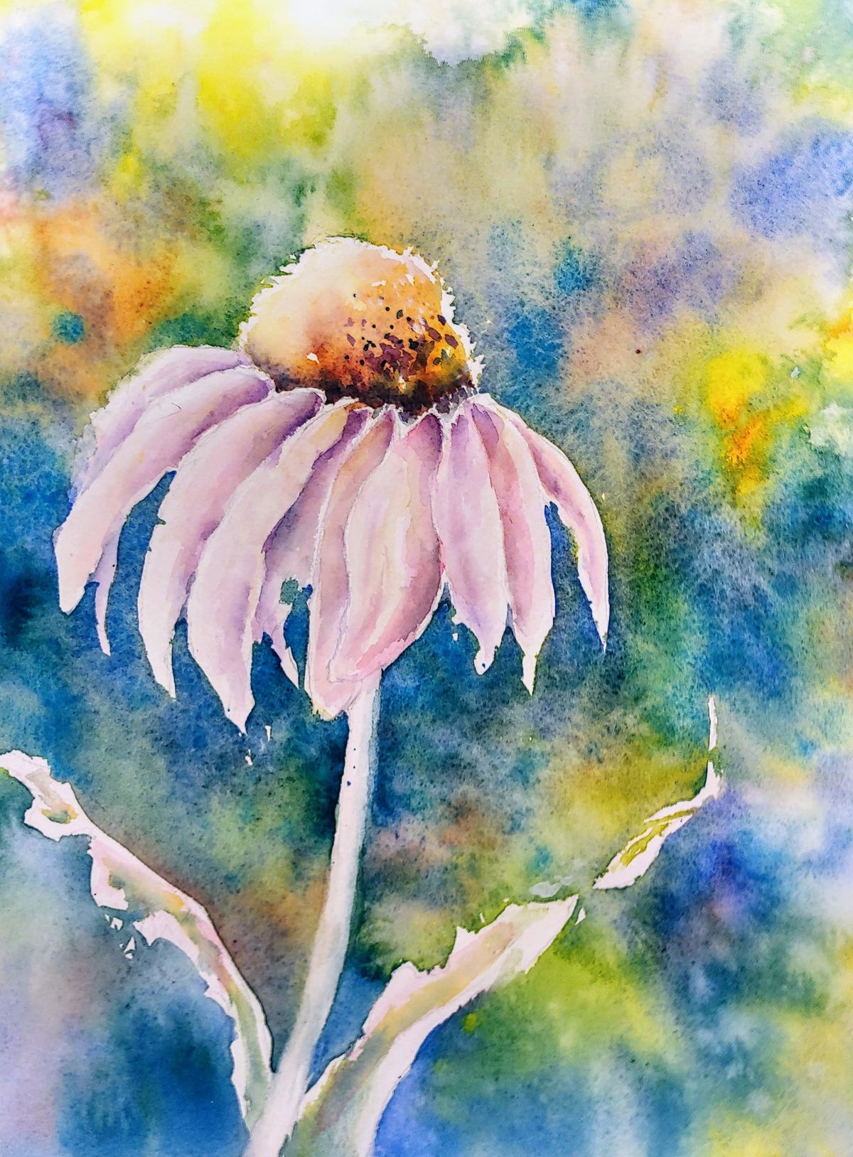 "Watercolor Pencil Techniques" with Julie Schroeder (December 2024)