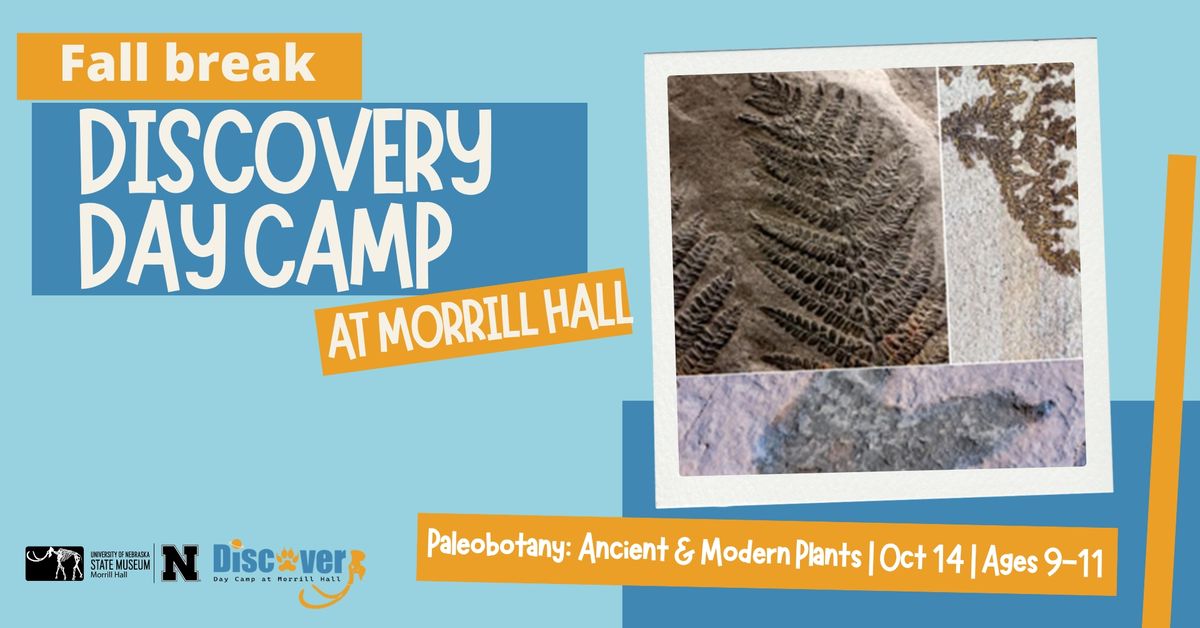 Fall Discovery Day Camp: Paleobotany: Ancient & Modern Plants