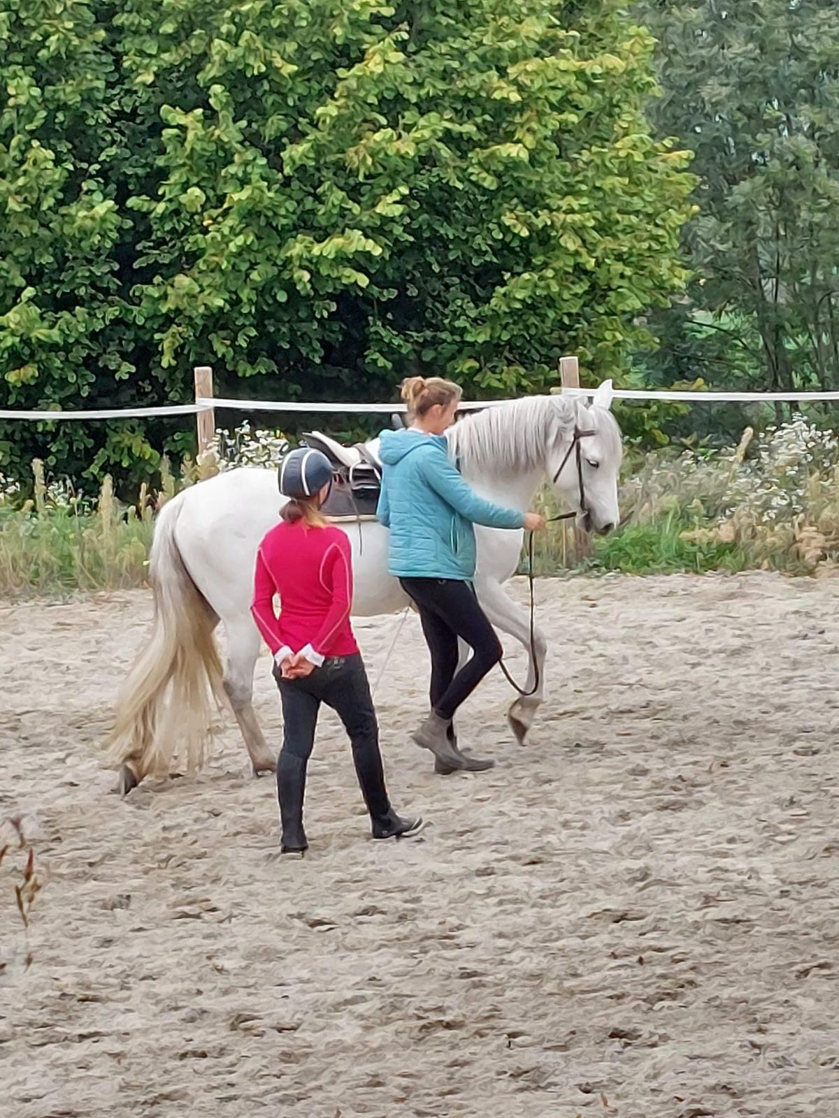 Stage \u00ab Le dressage au service du bien-\u00eatre du cheval\u2026 et du cavalier ! \u00bb