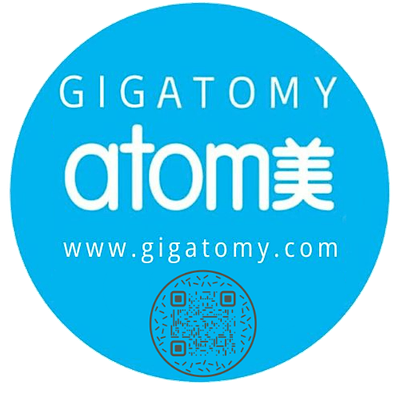 Gig Atomy Team