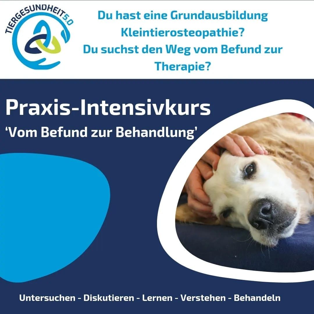 Praxis-Intensivkurs Osteopathie f\u00fcr Fortgeschrittene