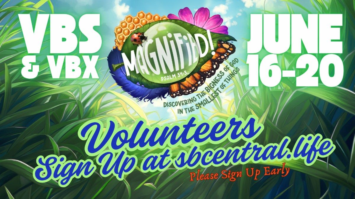 VBS & VBX *MAGNIFIED*