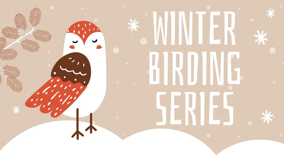 Winter Birding Series