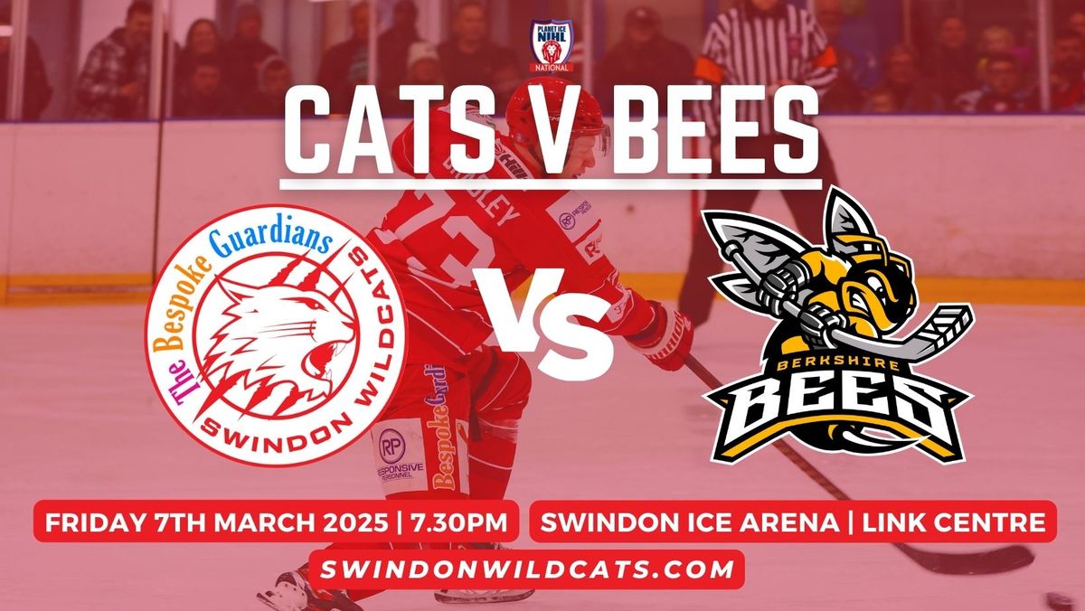 Swindon Wildcats v Berkshire Bees