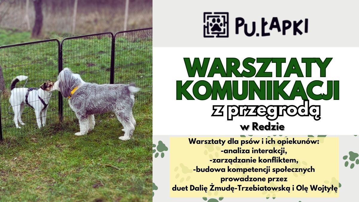 Pu\u0142apkowe warsztaty komunikacji z przegrod\u0105