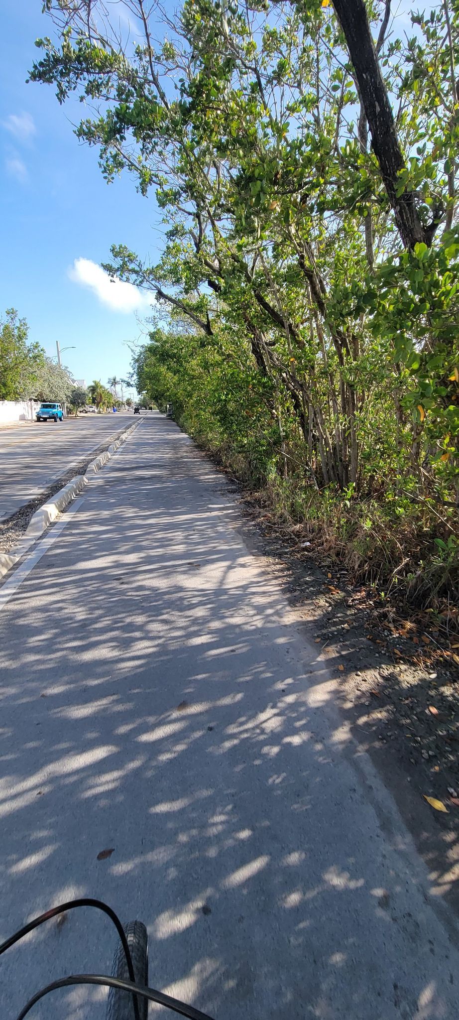 Early Bird Clean Up Nature's Beach and Atlantic Blvd in conjunction with Save-A-Turtle