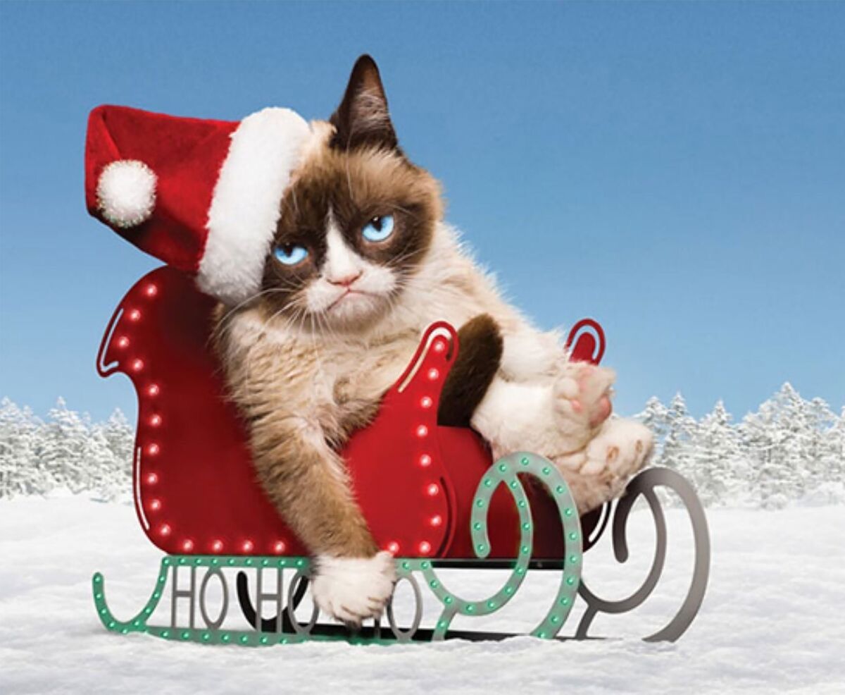 Movie Night: Grumpy Cat\u2019s Worst Christmas Ever