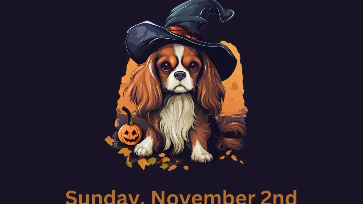 Cav-o-Ween Party at the Domain!