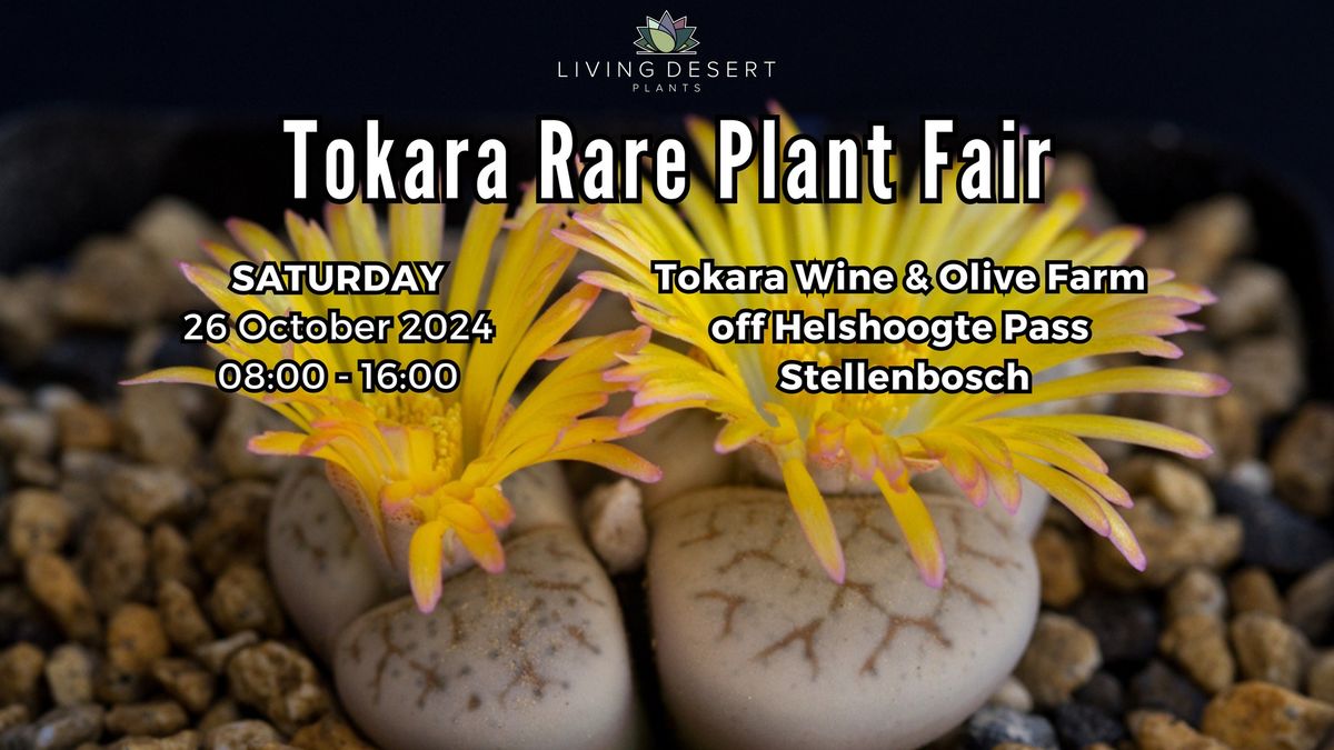 Living Desert Plants @ Tokara Rare Plant Fair Stellenbosch